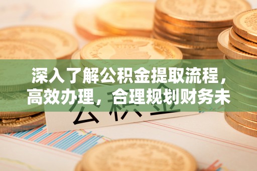 长涂深入了解公积金提取流程，高效办理，合理规划财务未来