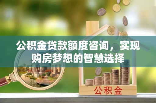 长涂公积金贷款额度咨询，实现购房梦想的智慧选择