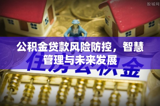 长涂公积金贷款风险防控，智慧管理与未来发展
