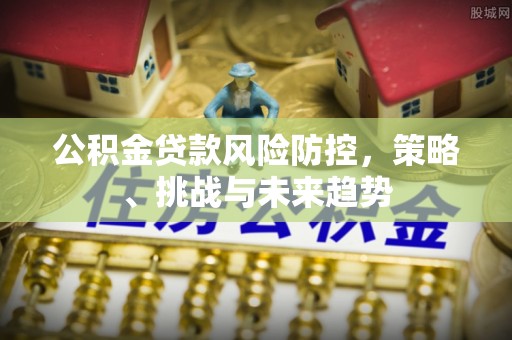 长涂公积金贷款风险防控，策略、挑战与未来趋势