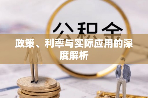 长涂政策、利率与实际应用的深度解析