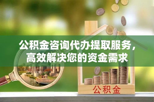 长涂公积金咨询代办提取服务，高效解决您的资金需求