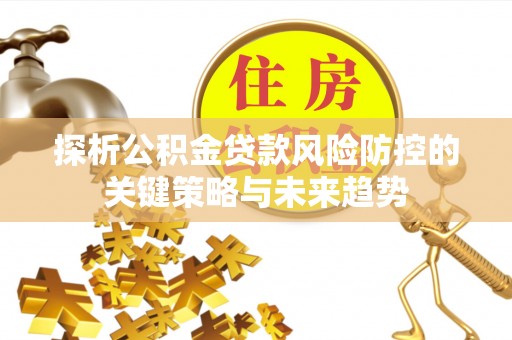 长涂探析公积金贷款风险防控的关键策略与未来趋势