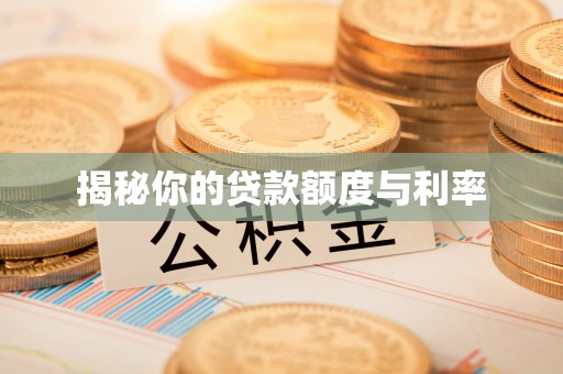 长涂揭秘你的贷款额度与利率