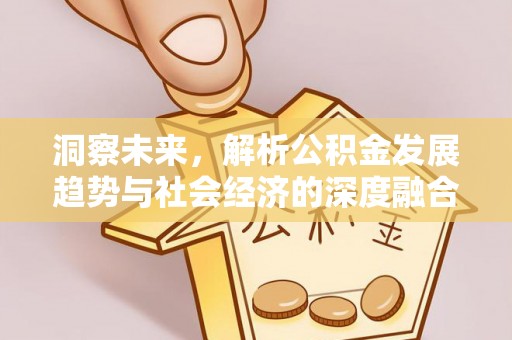 长涂洞察未来，解析公积金发展趋势与社会经济的深度融合