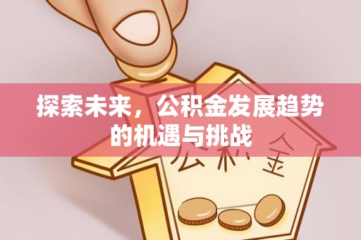 长涂探索未来，公积金发展趋势的机遇与挑战
