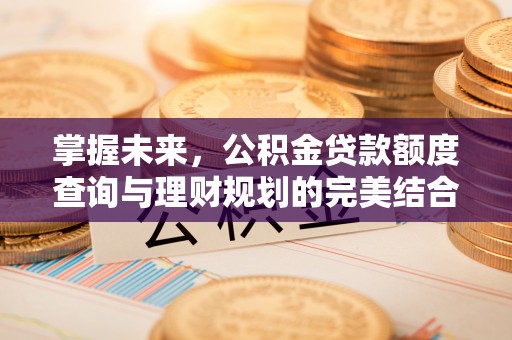 长涂掌握未来，公积金贷款额度查询与理财规划的完美结合