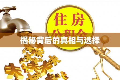 长涂揭秘背后的真相与选择