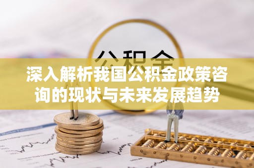 长涂深入解析我国公积金政策咨询的现状与未来发展趋势