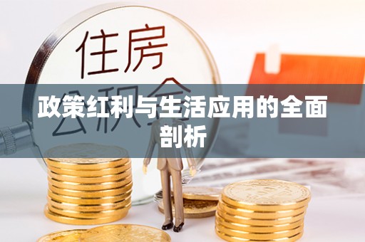 长涂政策红利与生活应用的全面剖析