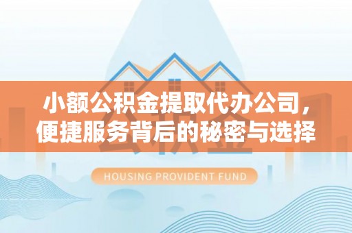 长涂小额公积金提取代办公司，便捷服务背后的秘密与选择指南