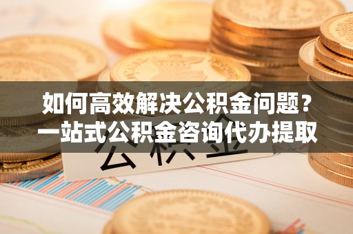 长涂如何高效解决公积金问题？一站式公积金咨询代办提取服务全解析