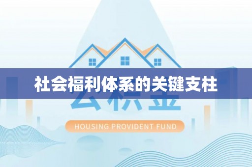 长涂社会福利体系的关键支柱