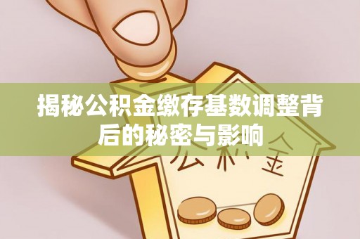 长涂揭秘公积金缴存基数调整背后的秘密与影响