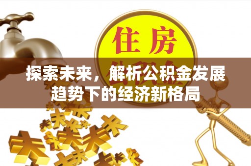 长涂探索未来，解析公积金发展趋势下的经济新格局