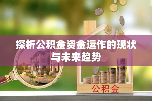 长涂探析公积金资金运作的现状与未来趋势