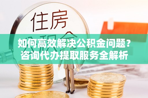 长涂如何高效解决公积金问题？咨询代办提取服务全解析