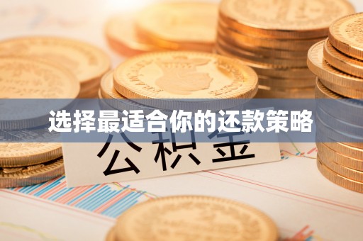 长涂选择最适合你的还款策略