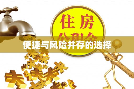 长涂便捷与风险并存的选择