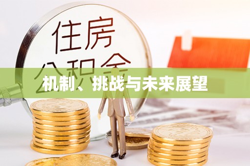 长涂机制、挑战与未来展望