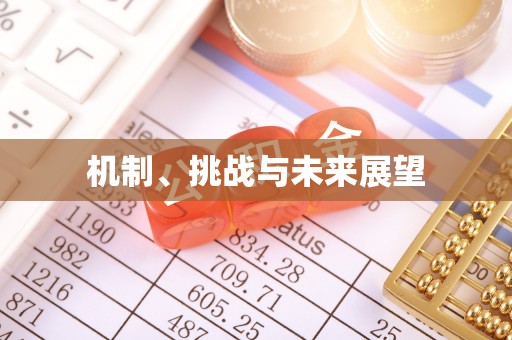 长涂机制、挑战与未来展望